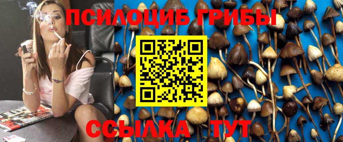 Псилоцибиновые грибы Cubensis Белгород